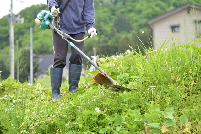 関市で草刈りに最適な年3回の時期～楽に草刈りを終えるコツまで徹底解説